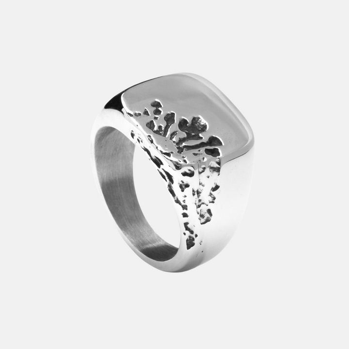 Silver Moon Imprint Signet Ring