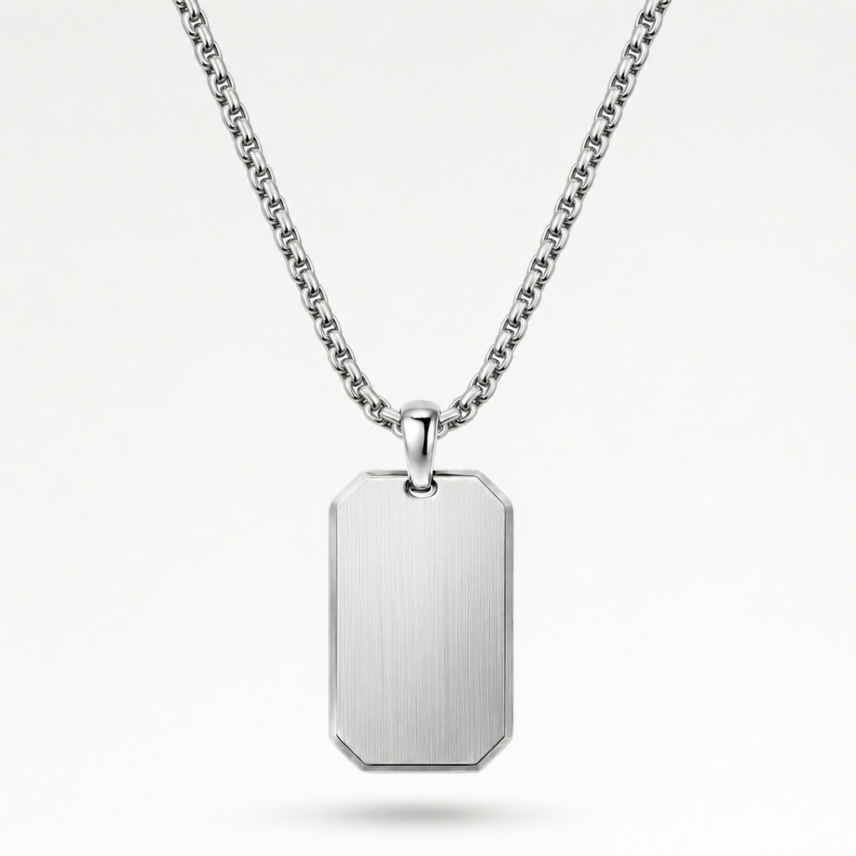 A silver-toned stainless steel dog tag pendant necklace with a brushed finish, suspended from a matching cable chain against a clean white background.