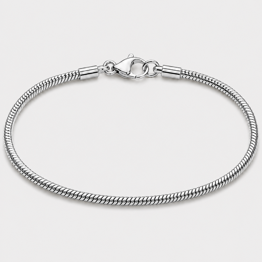 A silver-toned snake chain bracelet with a lobster clasp, displayed in a circular shape against a light gray background.