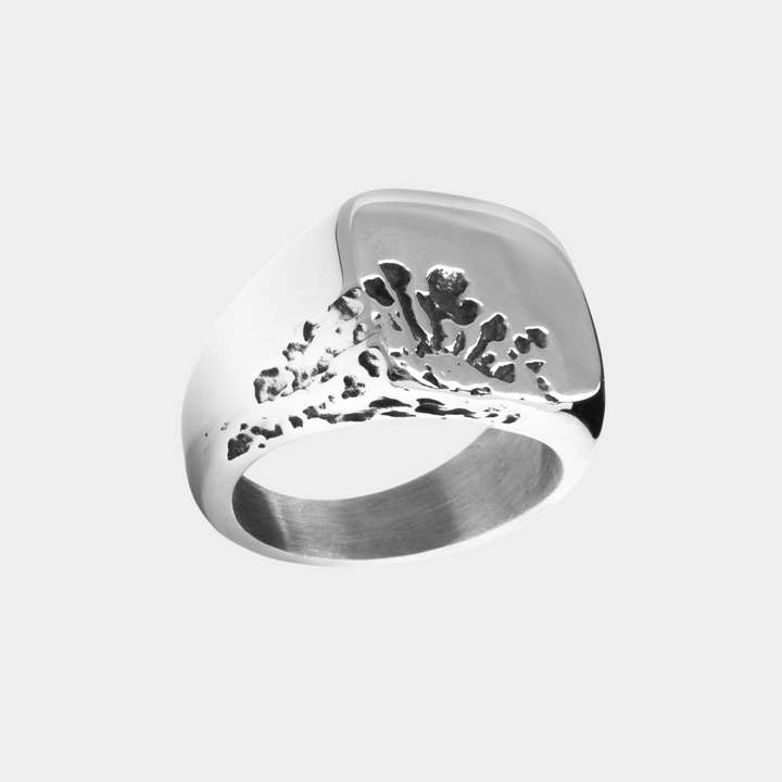 Silver Moon Imprint Signet Ring